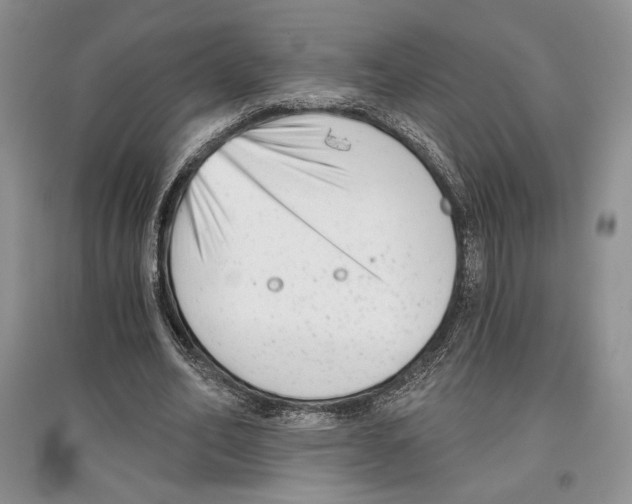 X0000097290582200803141512