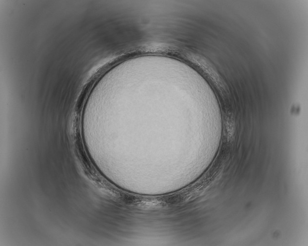 X0000097290583200803141512