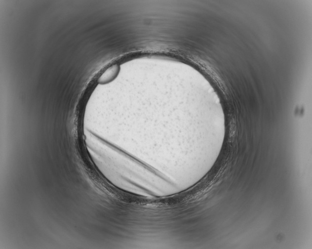 X0000097290584200803141512