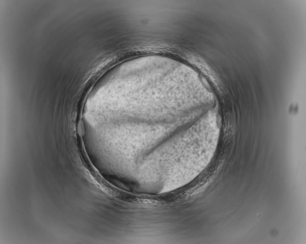 X0000097290585200803141512