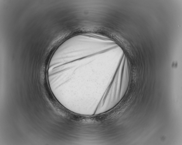 X0000097290586200803141512