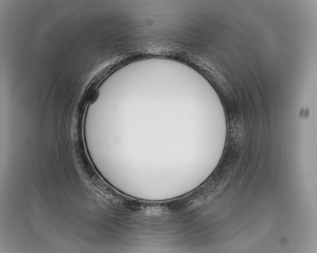 X0000097290587200803141512