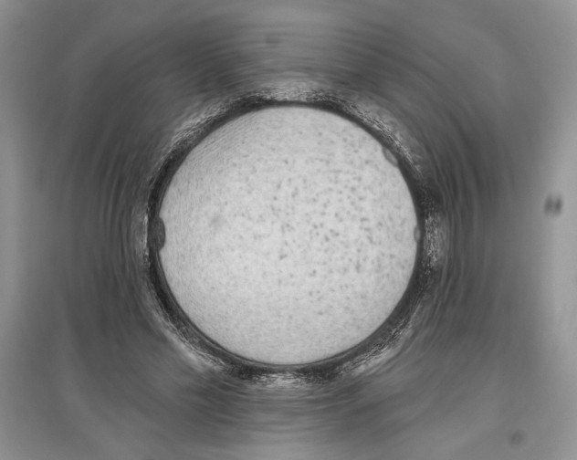 X0000097290589200803141512