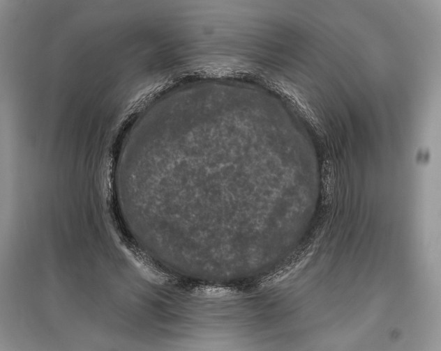 X0000097290590200803141512