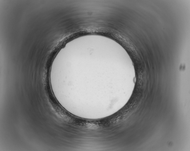 X0000097290592200803141512