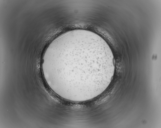 X0000097290593200803141512