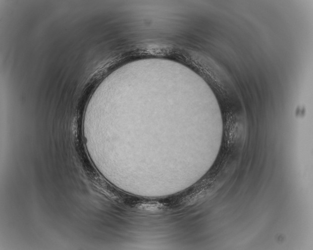 X0000097290595200803141512