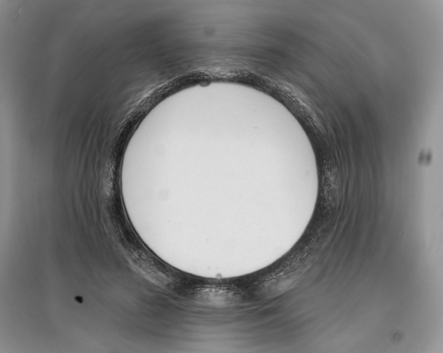 X0000097290596200803141512