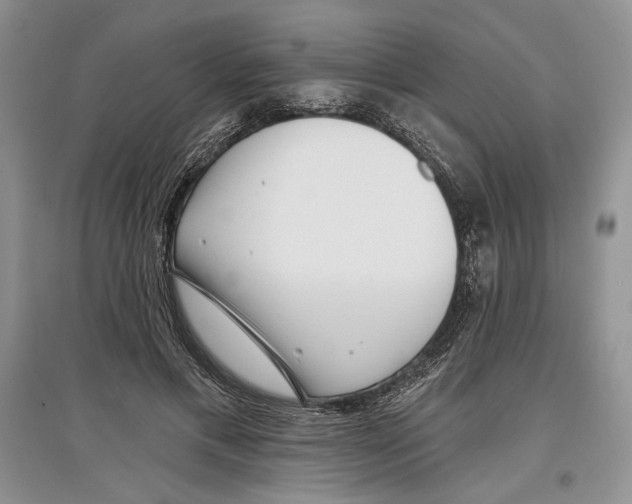 X0000097290597200803141512