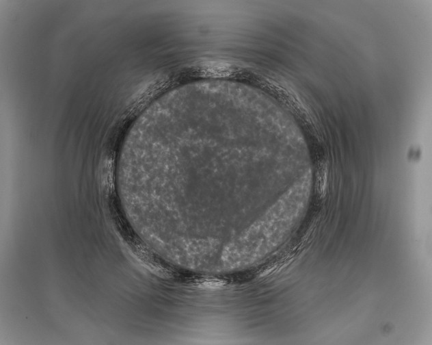 X0000097290598200803141512