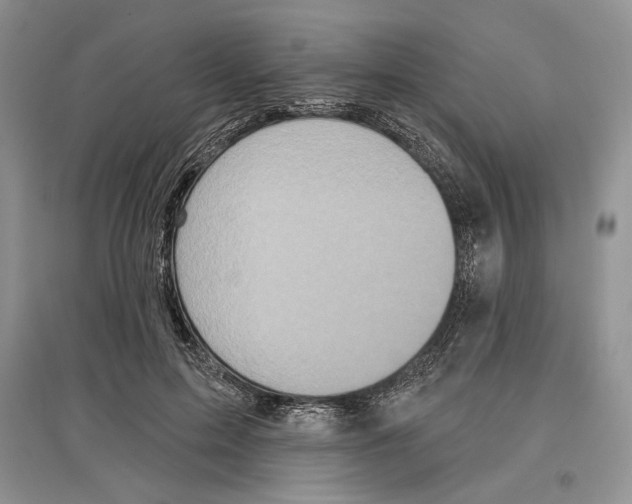 X0000097290599200803141512