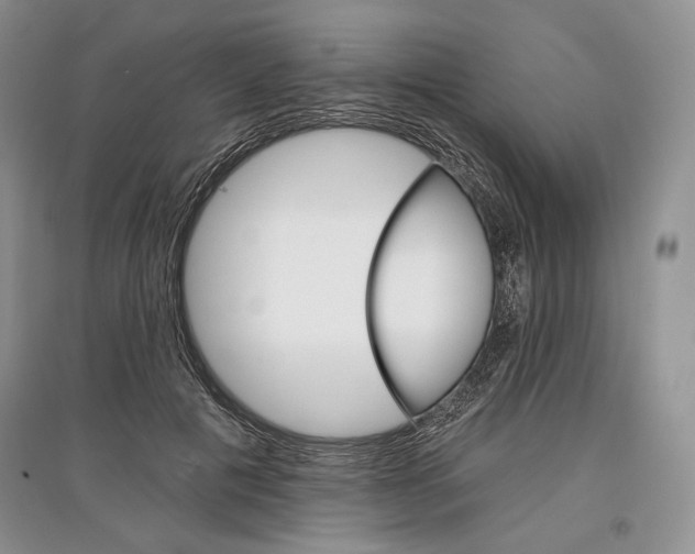 X0000097290601200803141512