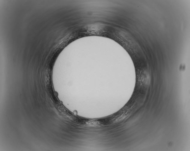 X0000097290603200803141512