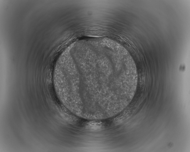 X0000097290606200803141512