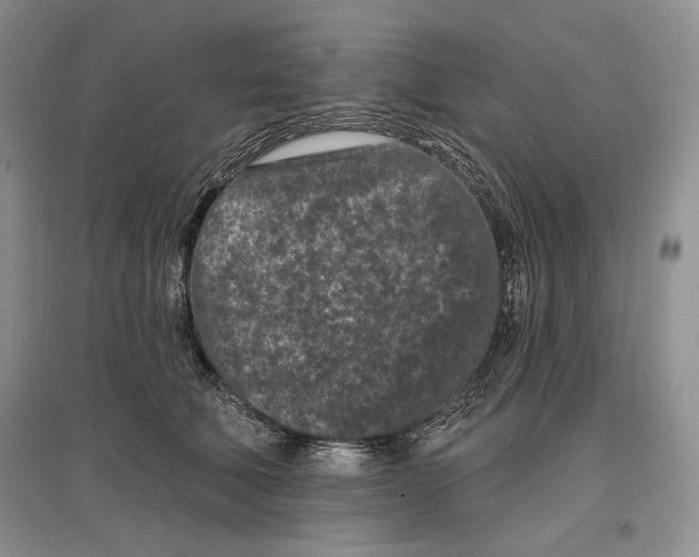 X0000097290610200803141512