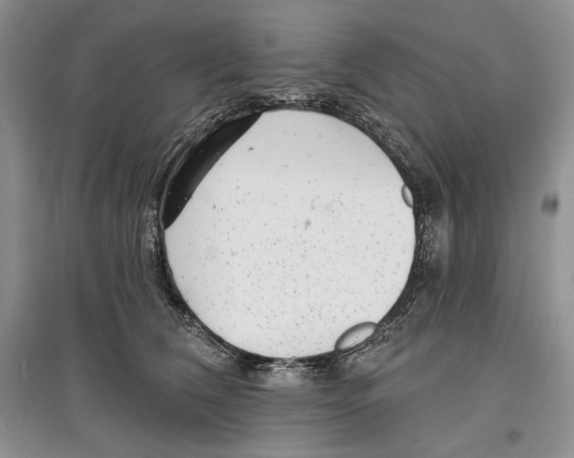 X0000097290612200803141512