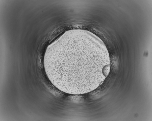 X0000097290615200803141512