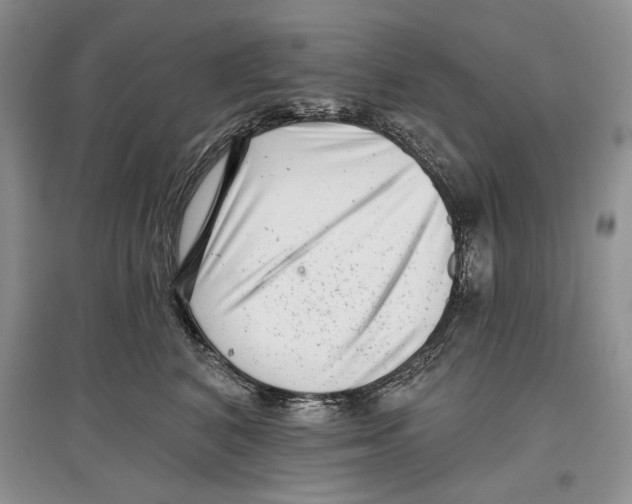 X0000097290616200803141512