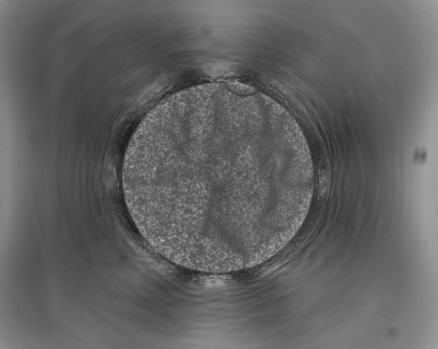 X0000097290618200803141512