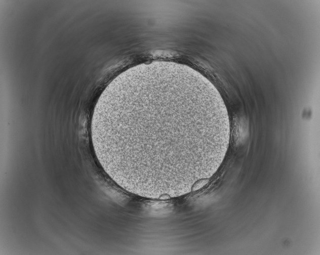 X0000097290619200803141512