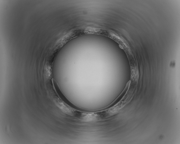 X0000097290621200803141512