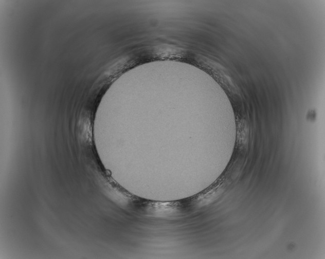 X0000097290622200803141512