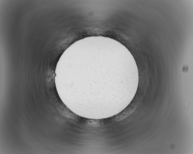 X0000097290624200803141512