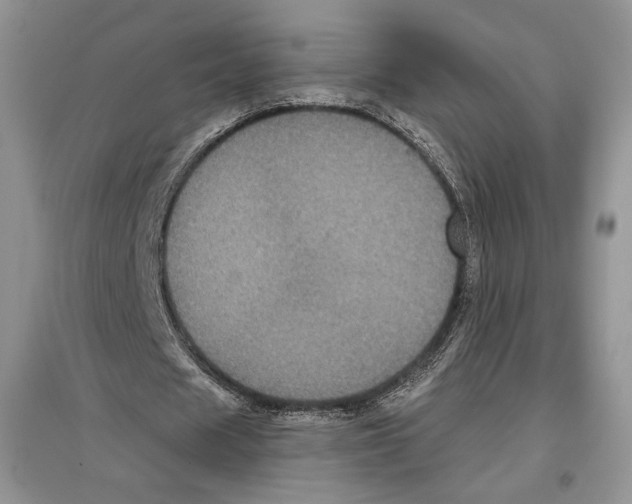 X0000097290625200803141511