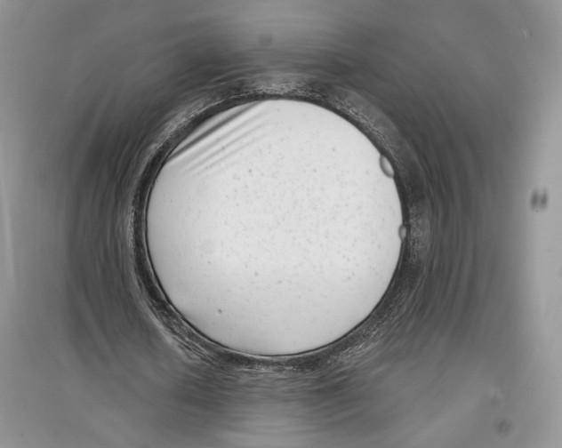 X0000097290626200803141511