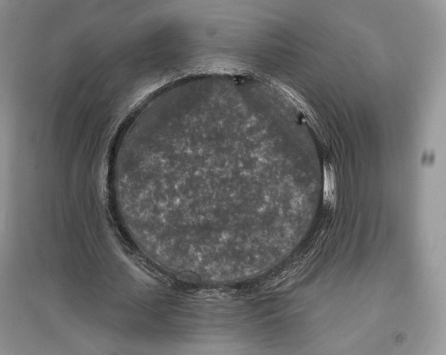 X0000097290627200803141511