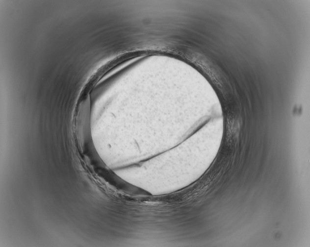 X0000097290628200803141511