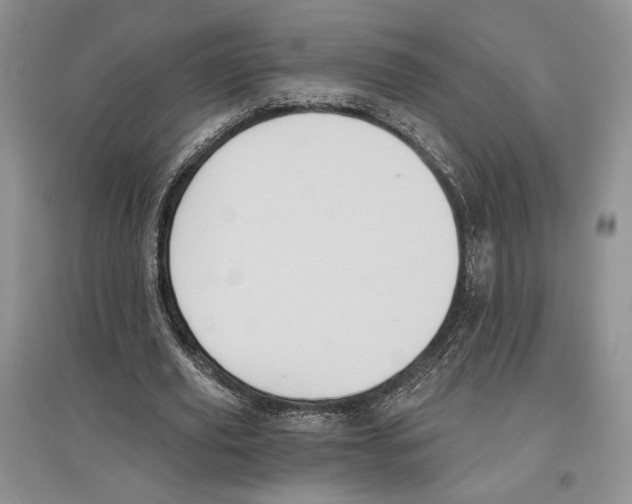 X0000097290629200803141511