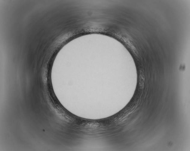 X0000097290631200803141511