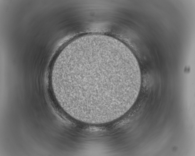 X0000097290632200803141511