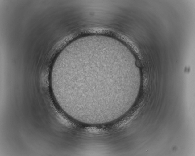 X0000097290633200803141511