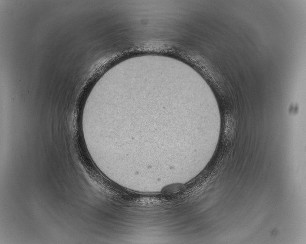 X0000097290636200803141511