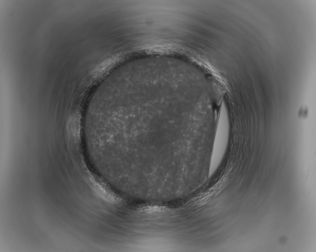 X0000097290637200803141511