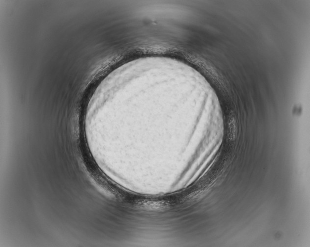 X0000097290638200803141511