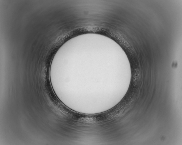 X0000097290639200803141511