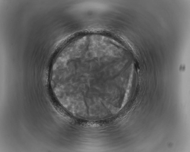 X0000097290640200803141511