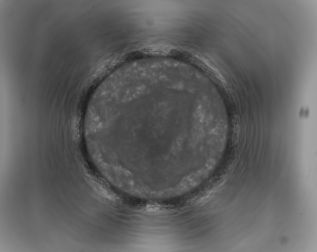 X0000097290641200803141511