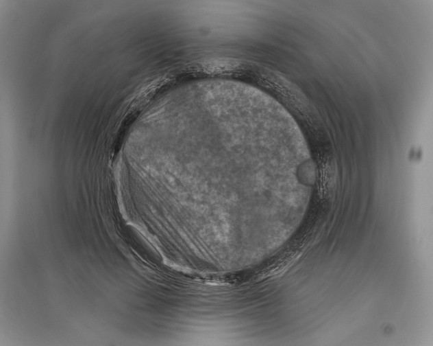 X0000097290644200803141511