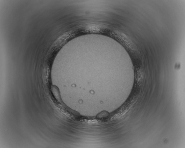 X0000097290645200803141511