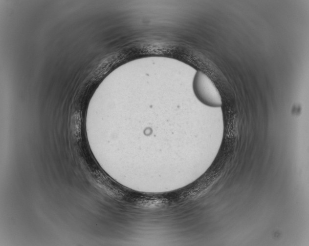 X0000097290646200803141511