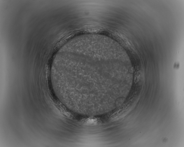 X0000097290647200803141511