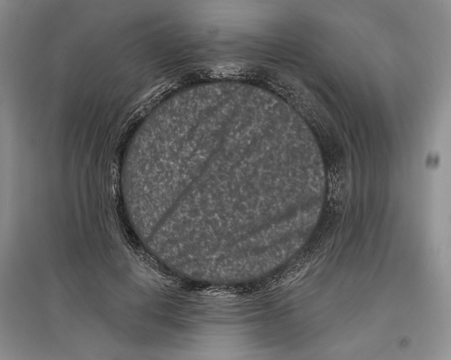 X0000097290648200803141511