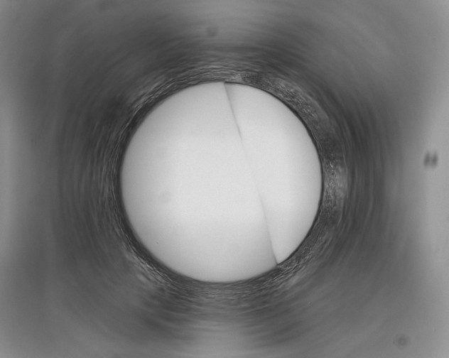 X0000097290649200803141511