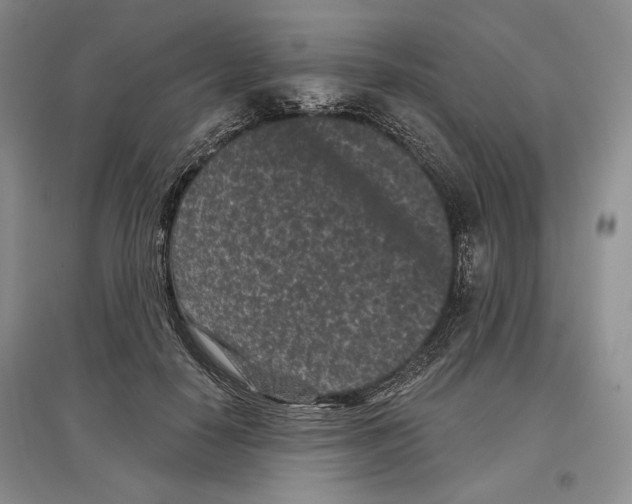 X0000097290650200803141511