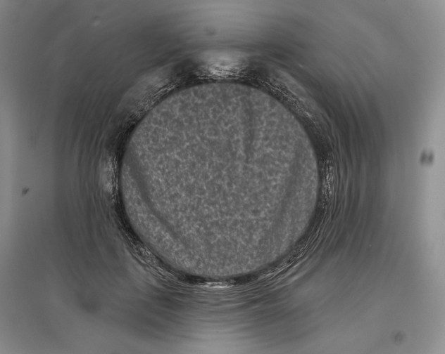 X0000097290651200803141511