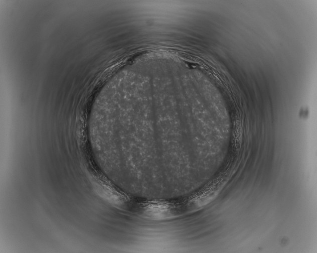 X0000097290653200803141511